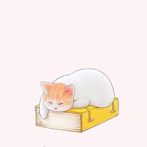 Meet your Posher, Junyi