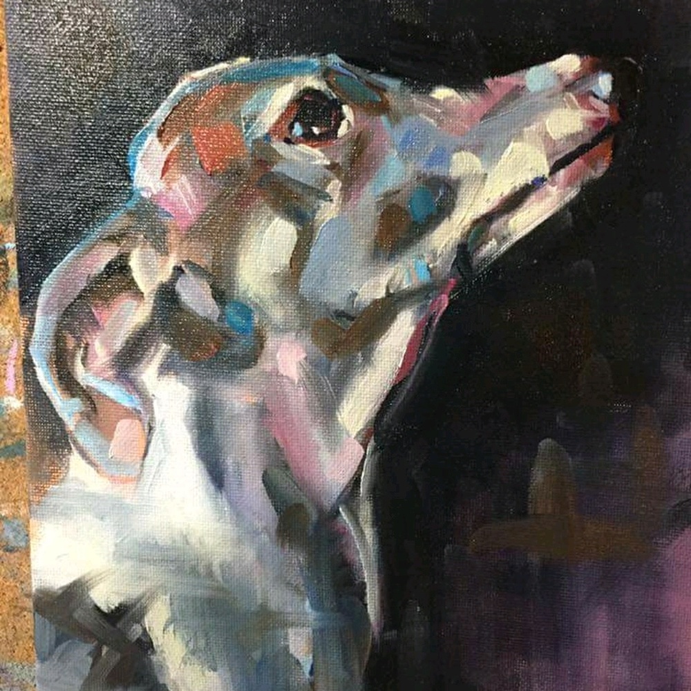 Meet your Posher, Janet