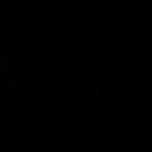 Meet your Posher, Roy