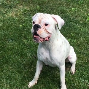 Meet your Posher, Renee