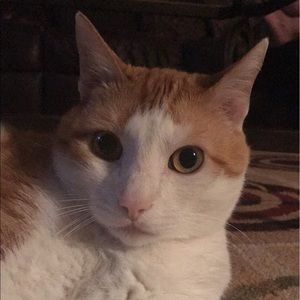 Meet your Posher, Khali