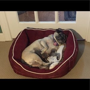 Meet your Posher, Robin