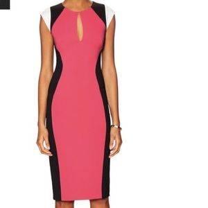Jay Godfrey Dress