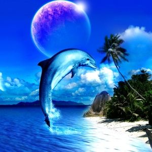 Meet your Posher, Margarita