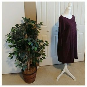 Gently worn! Sweater dress