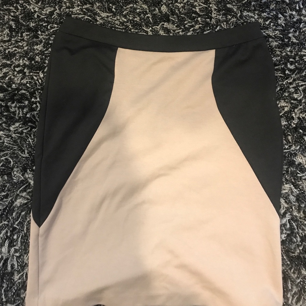 Two Toned Pencil Skirt