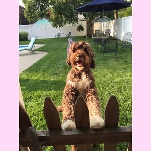 Meet your Posher, Lauren