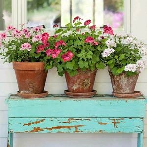 Meet your Posher, Trina