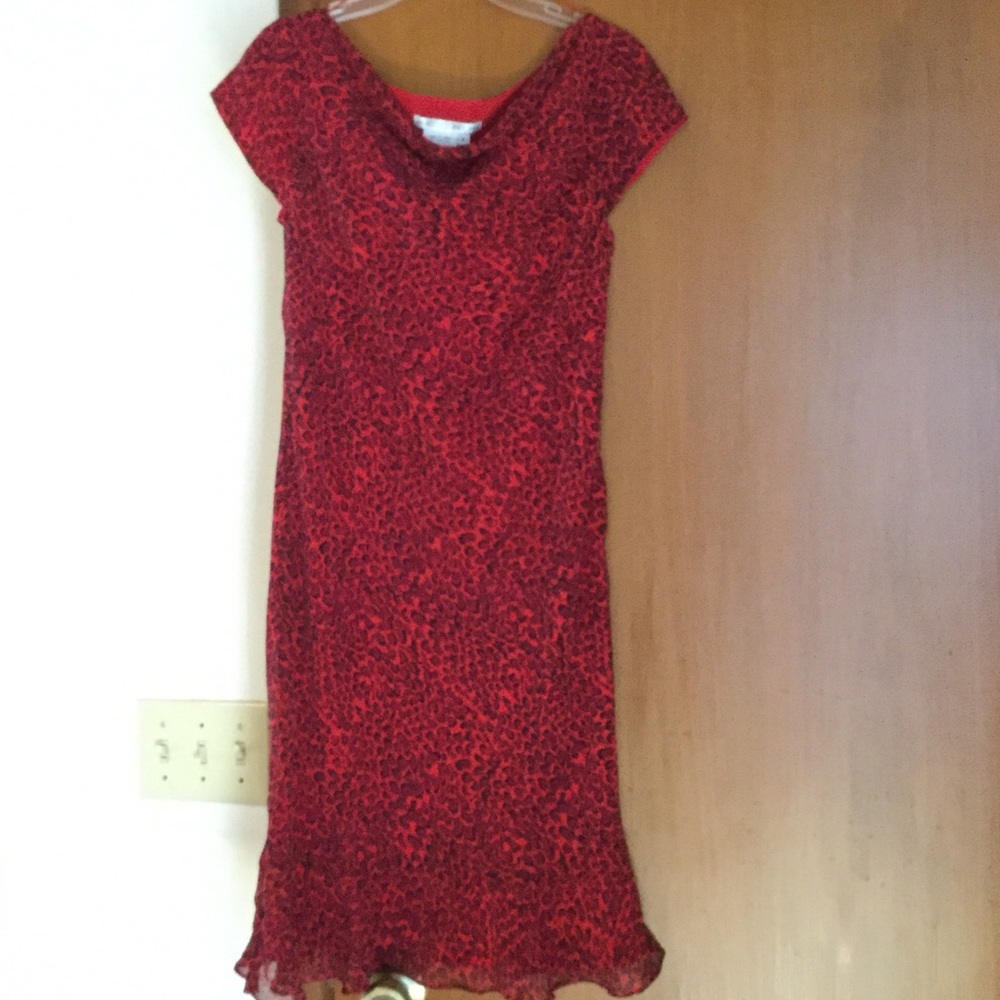 Beautiful women silk dress