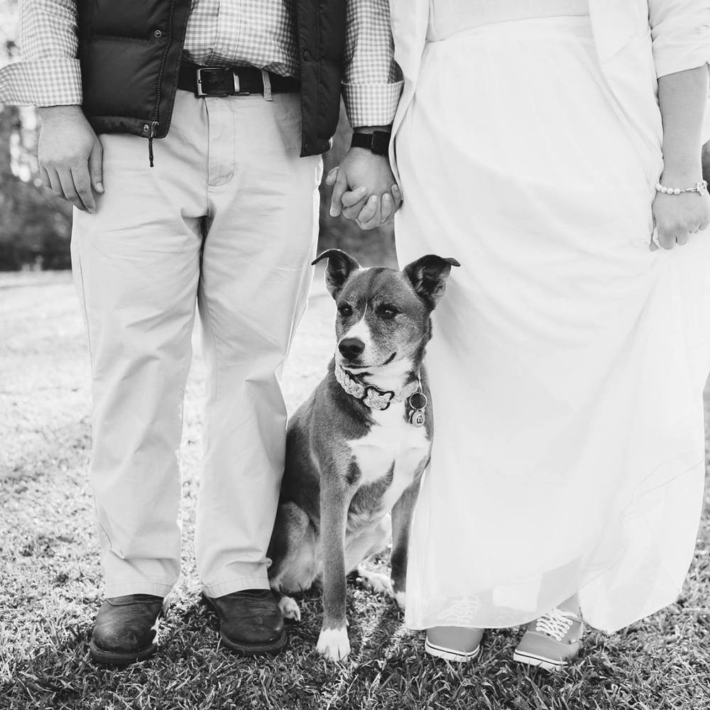 Meet your Posher, Katie - Picture 1 of 1
