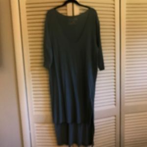 Free People Long Tunic
