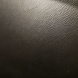 Meet your Posher, Lanette