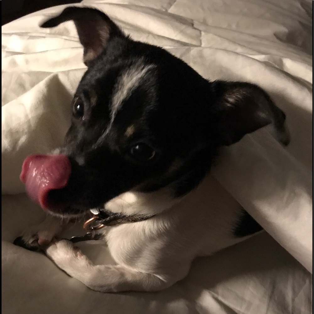 Meet your Posher, Renee