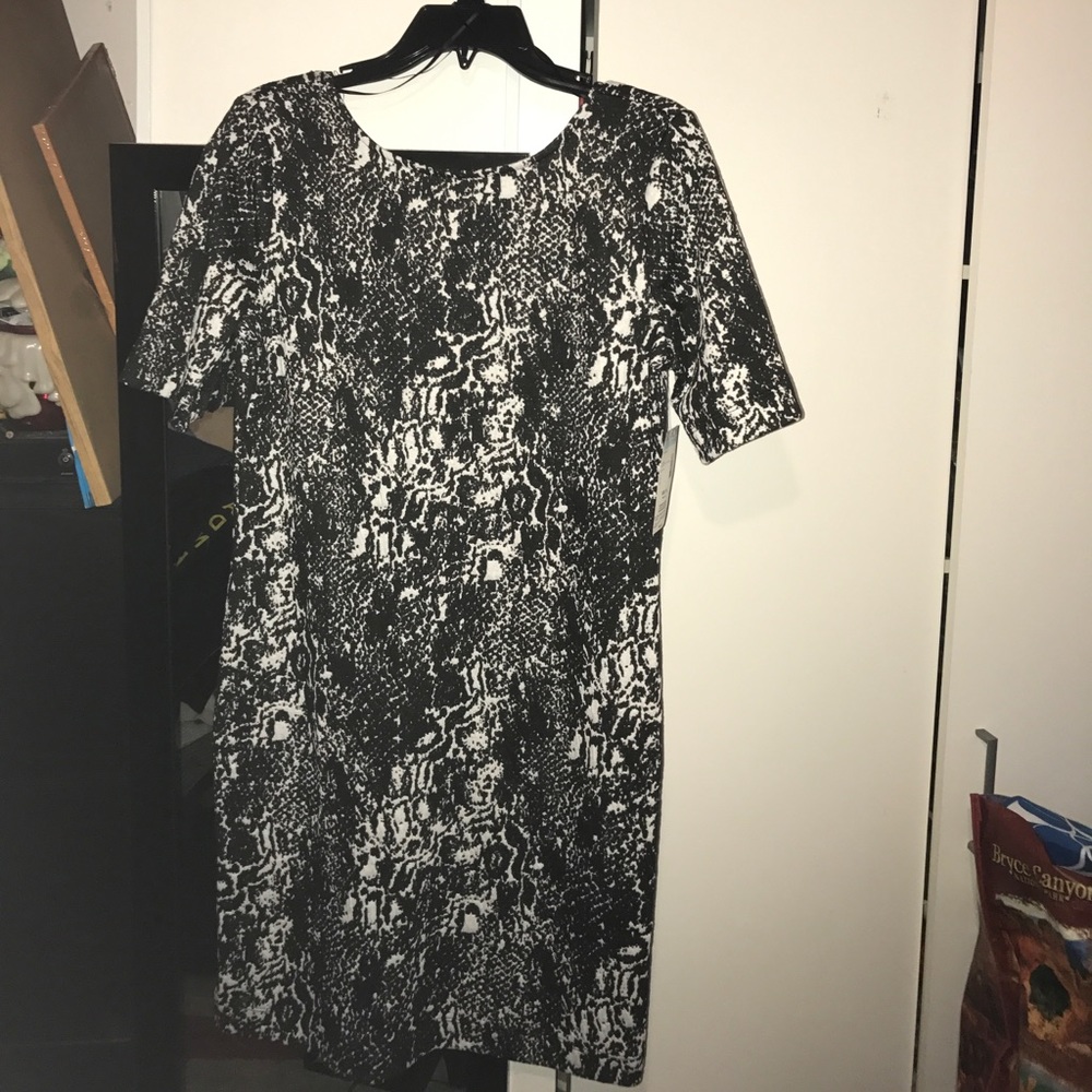 New black and white bongo dress