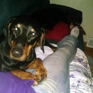 Meet your Posher, Anya