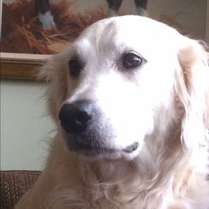 Meet your Posher, Claire