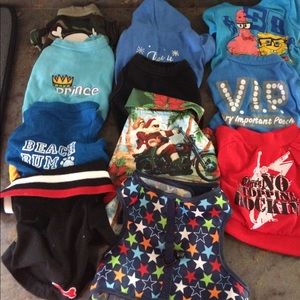 Ex small chihuahua small pet clothes