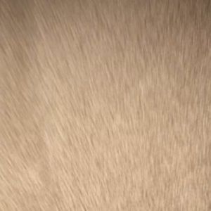 Meet your Posher, Kinsey