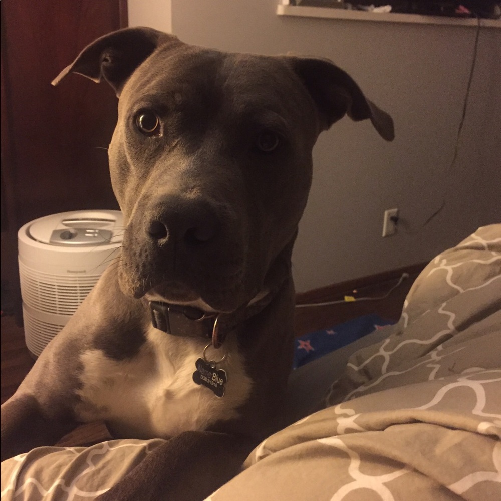 Meet your Posher, Yoni