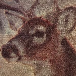 Meet your Posher, Sean