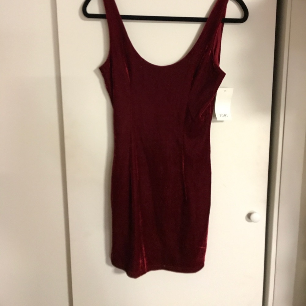 NWT Velvet Dress
