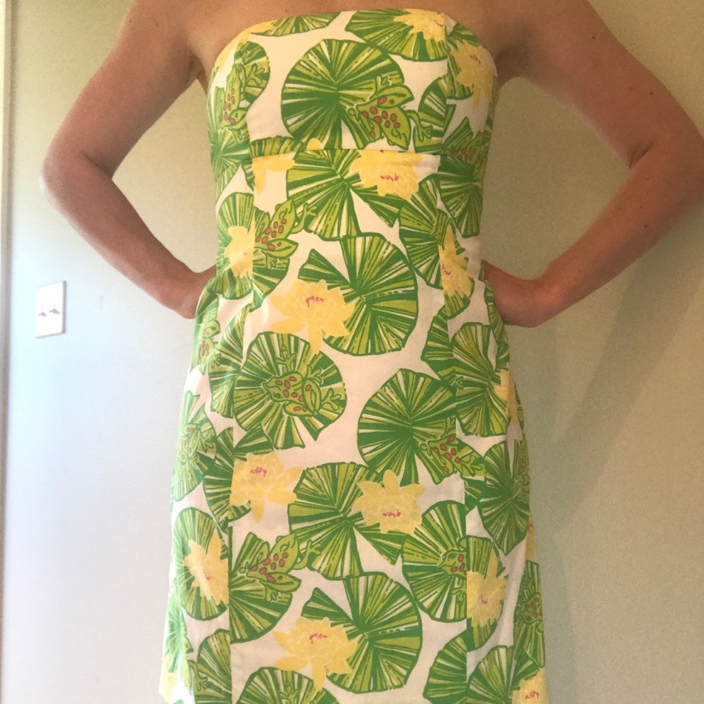 Lilly Pulitzer Dress - Picture 2 of 7