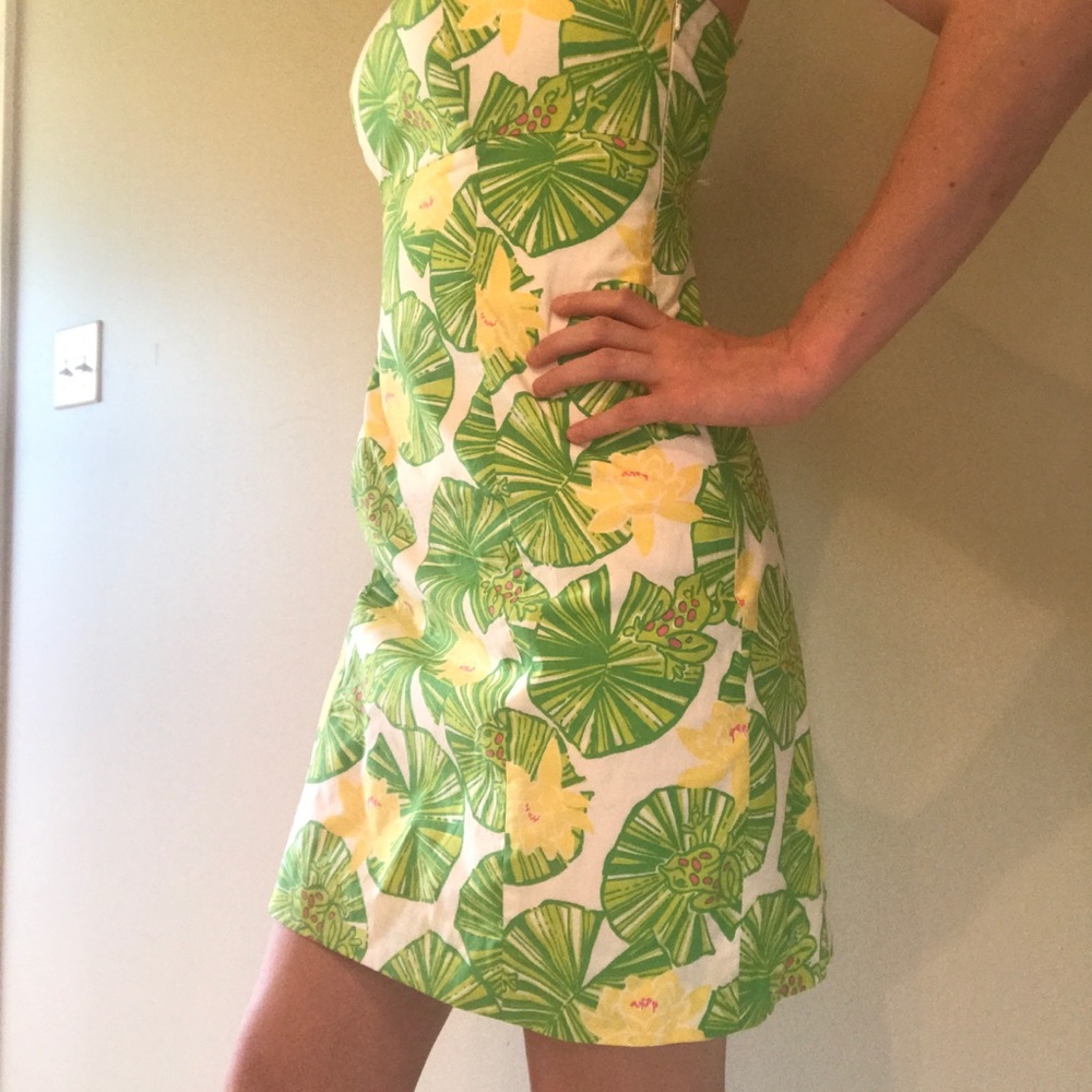 Lilly Pulitzer Dress - Picture 4 of 7