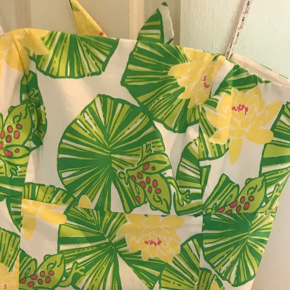 Lilly Pulitzer Dress - Picture 7 of 7