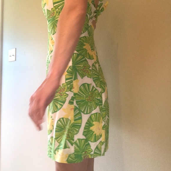 Lilly Pulitzer Dress - Picture 3 of 7