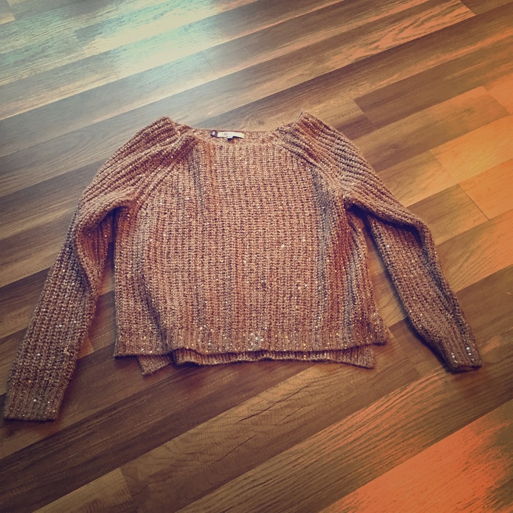 Wide Neck Sparkly Brown Sweater