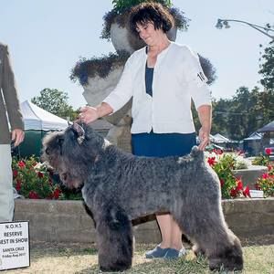 Meet your Posher, Angie