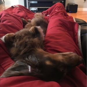 Meet your Posher, Clint