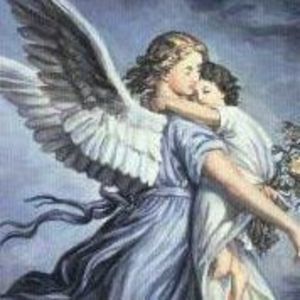 Meet your Posher, Sylvia