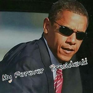 Meet your Posher, Gidget