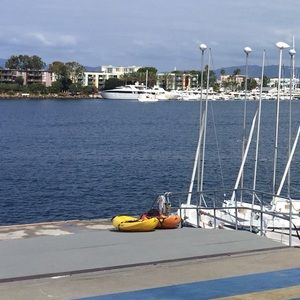 Meet your Posher, Carolyn