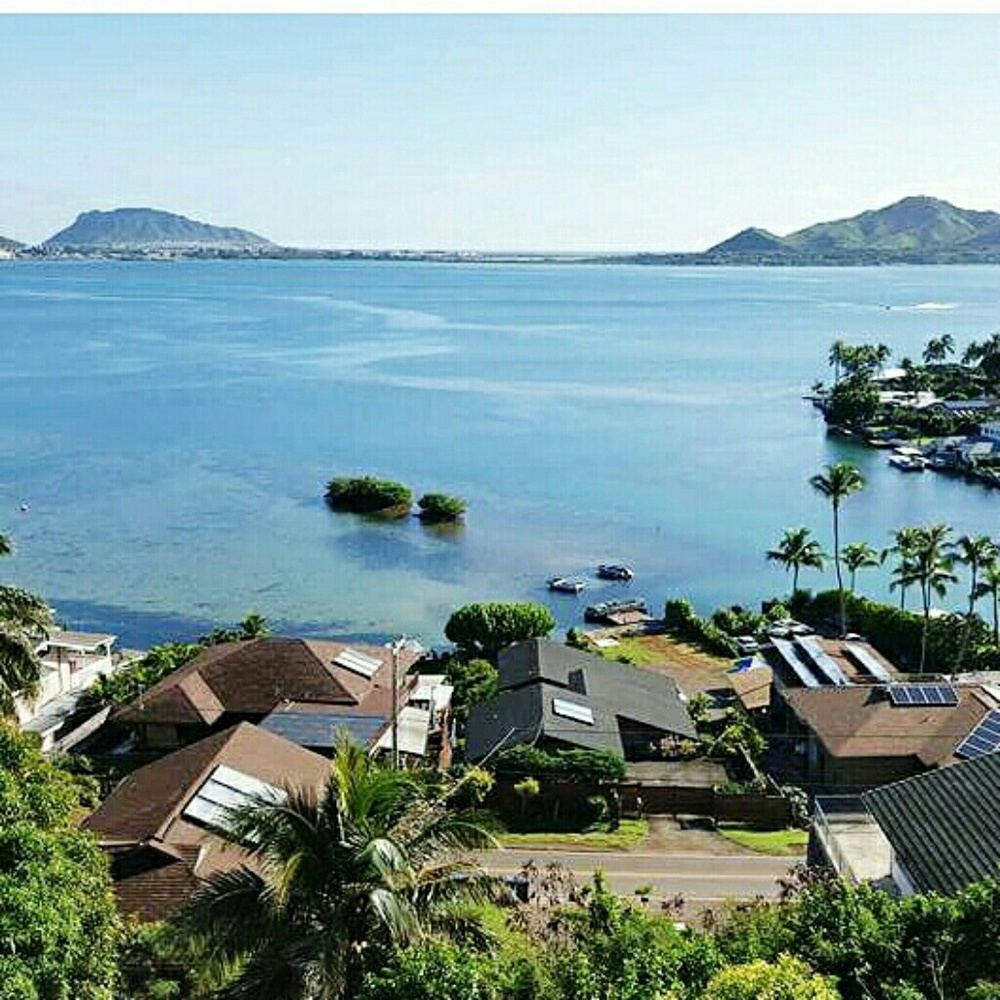 Meet your Posher, Ty