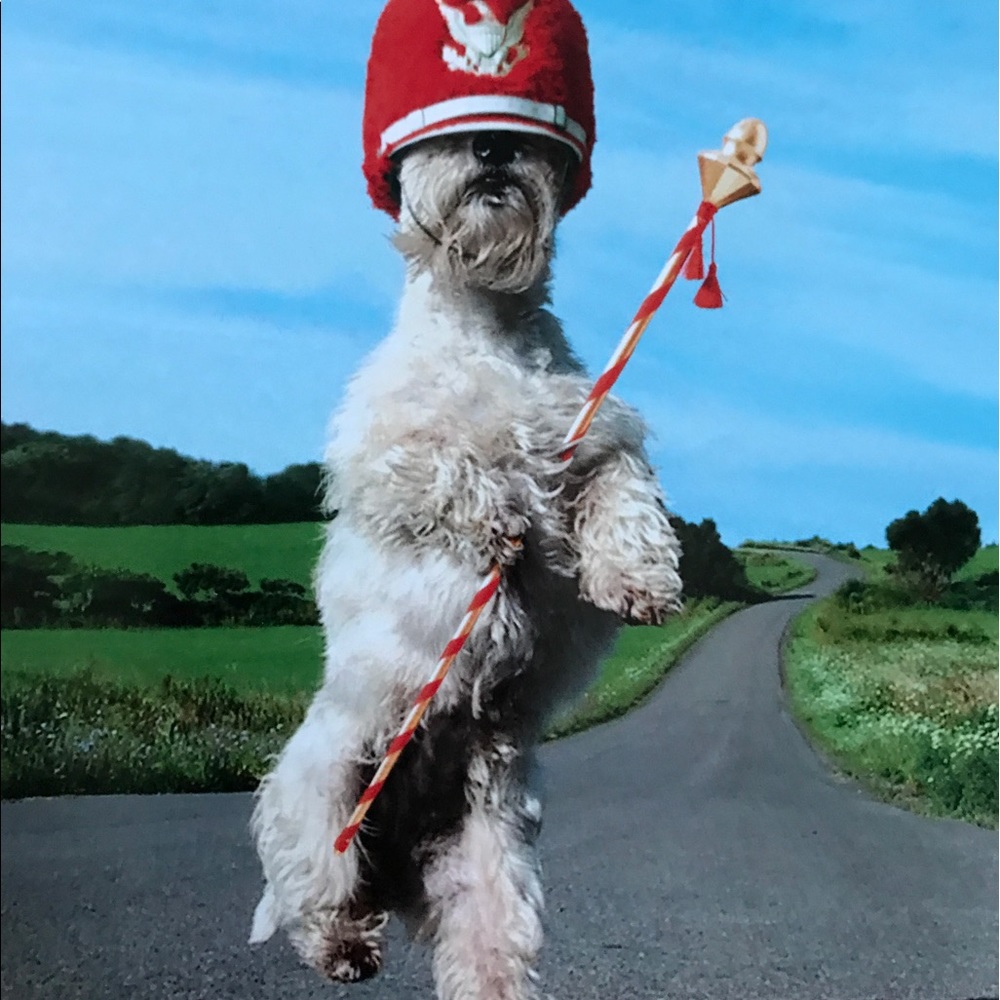 Meet your Posher, Beth