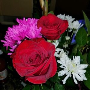 Meet your Posher, Rocio