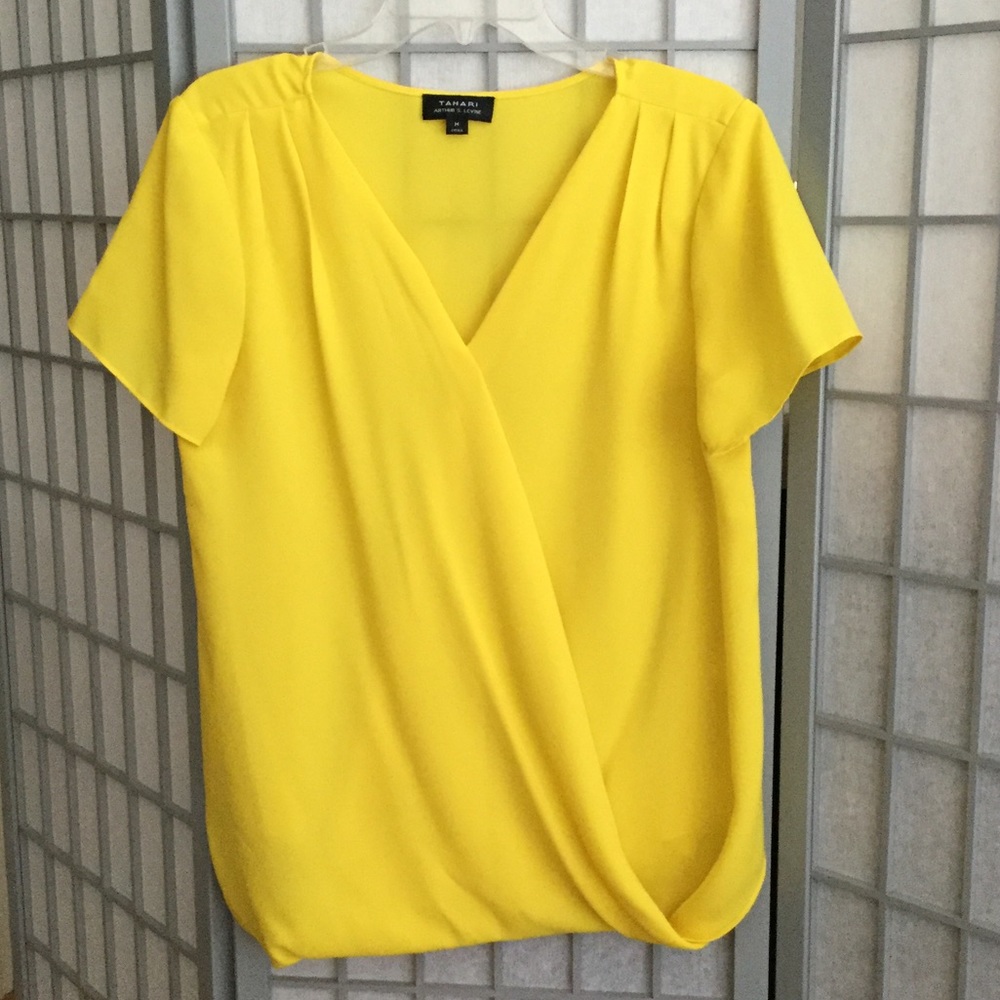 Sunny cross-front V neck blouse by Tahari!