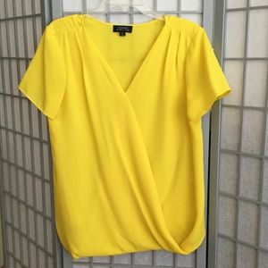 Sunny cross-front V neck blouse by Tahari!