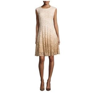 Chetta B Shimmery Ombré Lace Dress.
