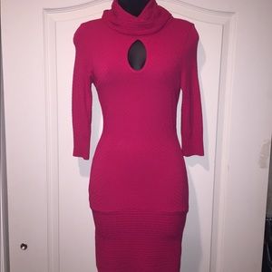 Bebe Sweater Dress