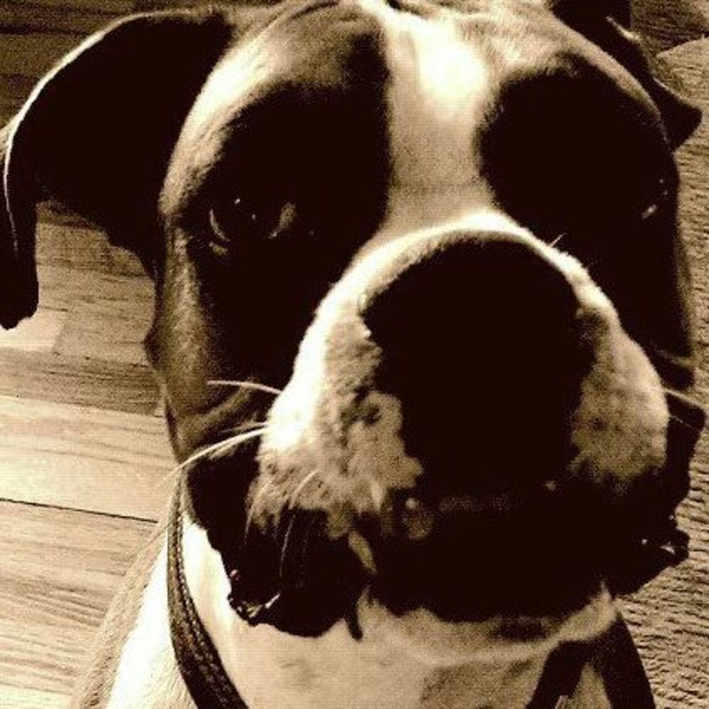 Meet your Posher, Tara