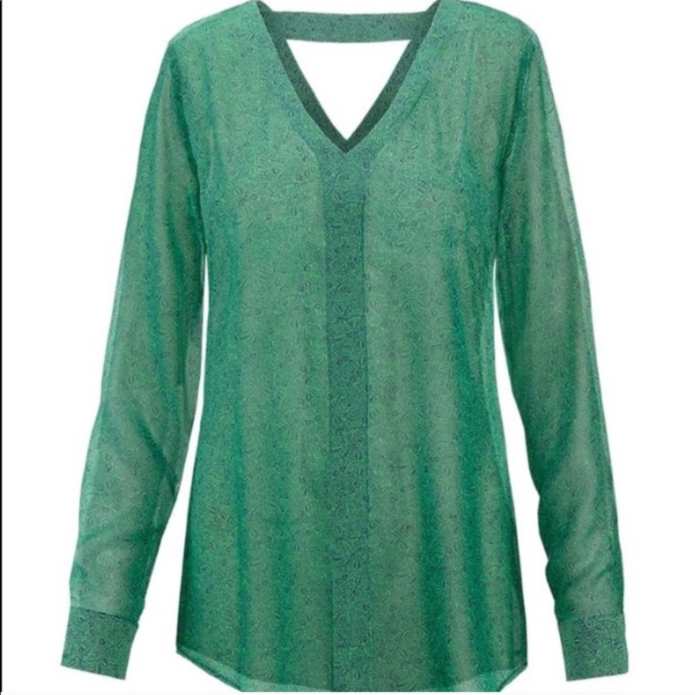 Bountiful Blouse - image 1