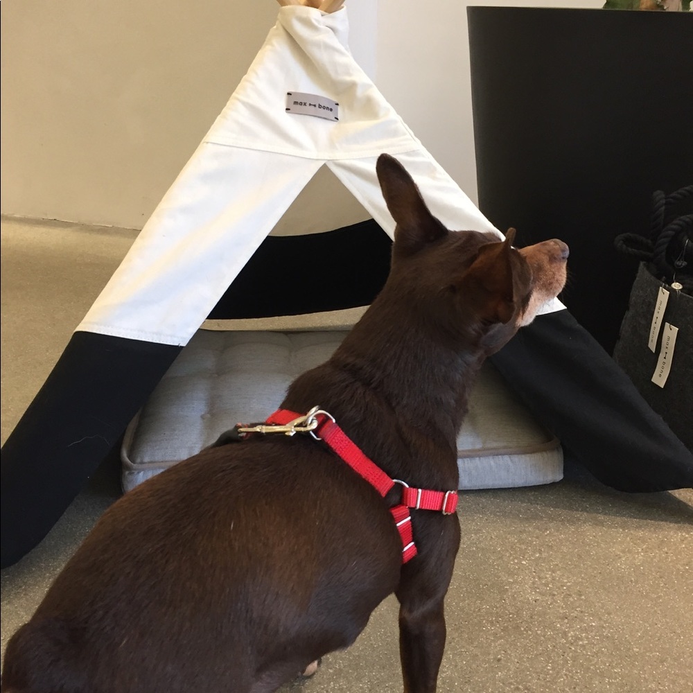 Not for sale ISO this doggie tent!