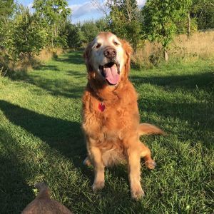 Meet your Posher, Jenny