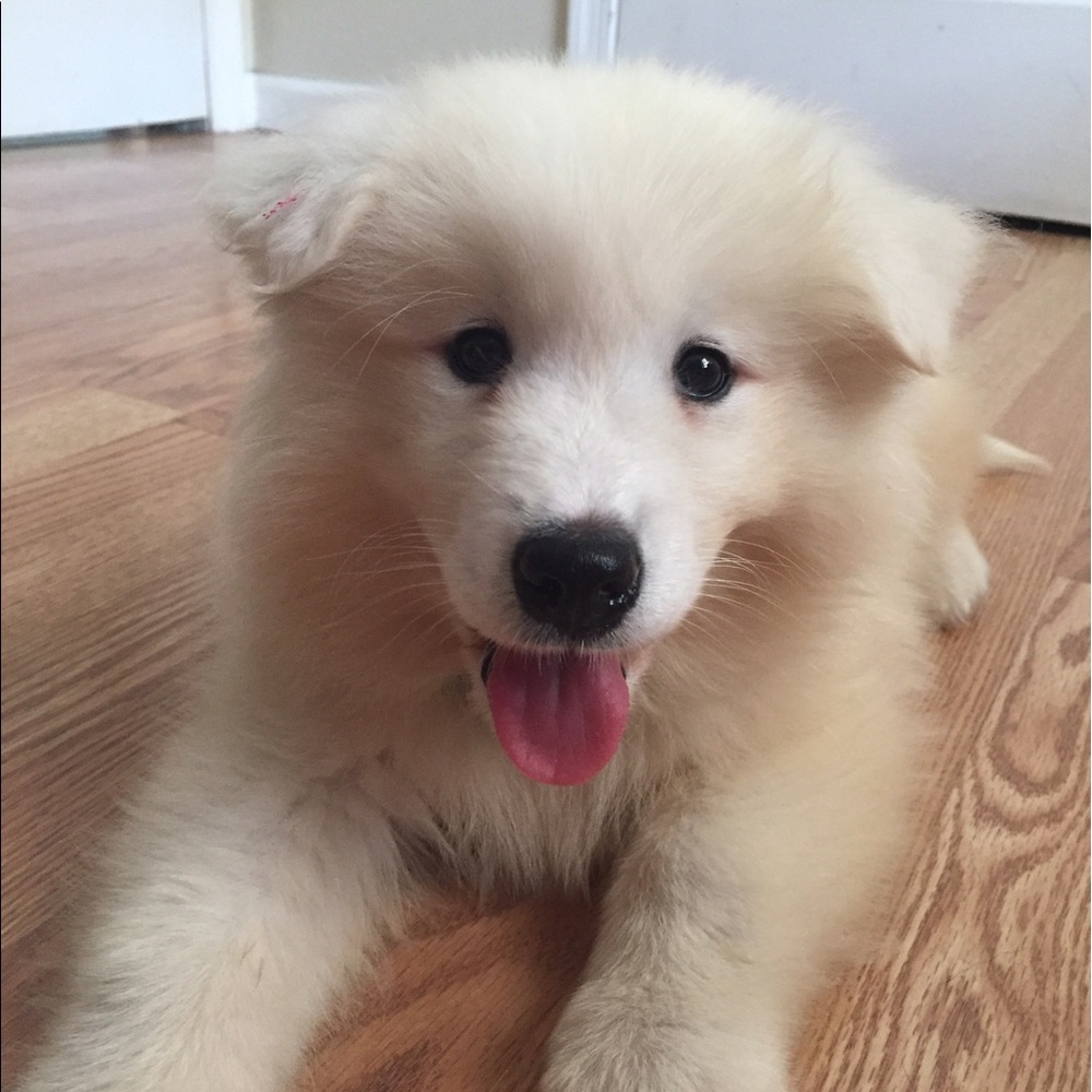Meet your Posher, Tessa
