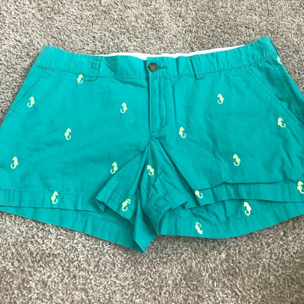 Teal embroidered shorts