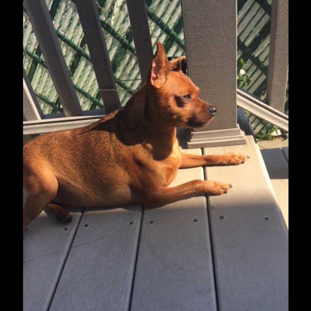 Meet your Posher, Melissa