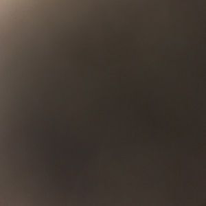 Meet your Posher, Lexi